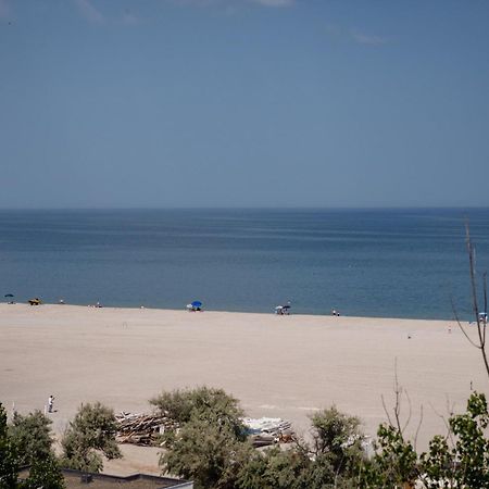 Pupa Residence Mamaia Rum bild